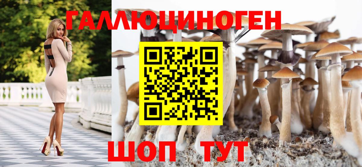 даркнет сайт  Вход с VPN  Наро-Фоминск  Псилоцибиновые грибы мухоморы 